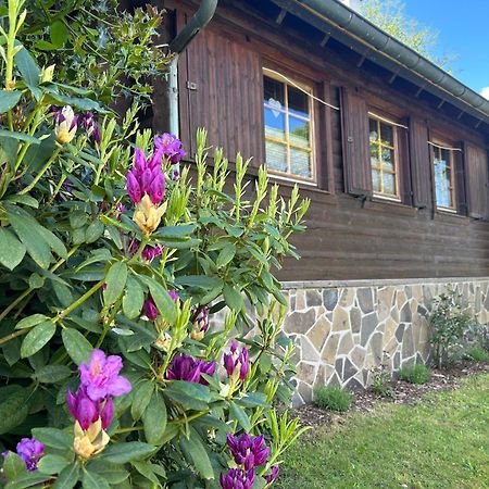 Blockhuette Engeln-Eifel Villa Kempenich Eksteriør bilde