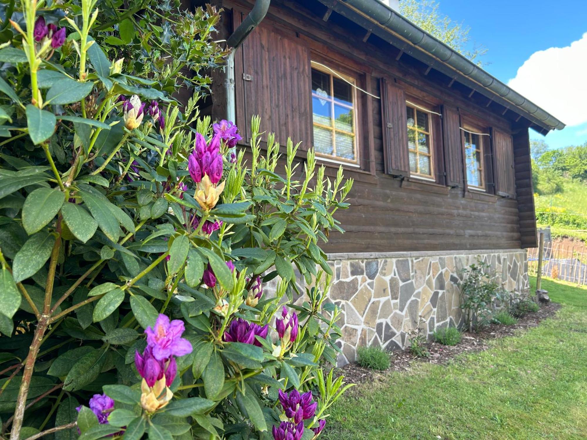 Blockhuette Engeln-Eifel Villa Kempenich Eksteriør bilde