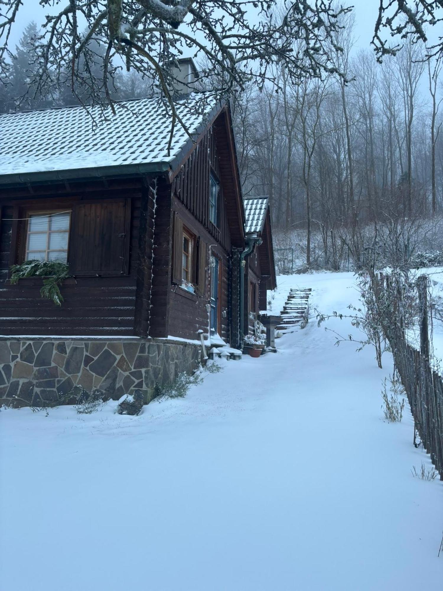 Blockhuette Engeln-Eifel Villa Kempenich Eksteriør bilde