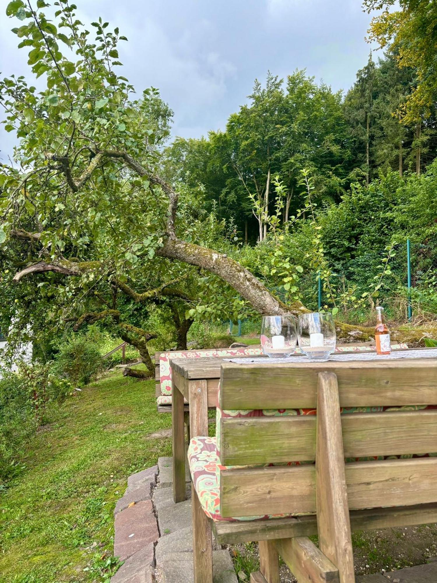 Blockhuette Engeln-Eifel Villa Kempenich Eksteriør bilde